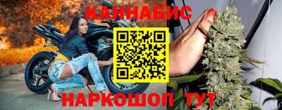 индика Будённовск