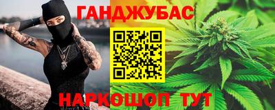 индика Будённовск