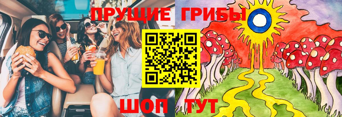 Псилоцибиновые грибы GOLDEN TEACHER Можга